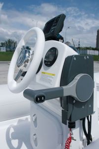 купить Лодка РИБ GRAND GOLDEN LINE G380EF в Москве - фото 