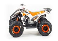 купить Квадроцикл MOTOLAND 125 Coyote (2021 Г.) в Москве - фото 