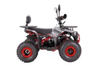 купить Квадроцикл YACOTA Sirius 125 в Москве - фото 