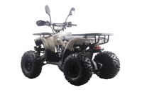купить Квадроцикл MOTAX ATV Grizlik Premium 125cc в Москве - фото 