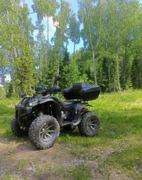 купить Квадроцикл GRIZZLY 250 Б/У в Москве - фото 