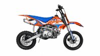 купить Мотоцикл APOLLO RXF Junior 110E Auto PITBIKE в Москве - фото 