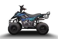 купить Квадроцикл SHARK 150 Universal в Москве - фото 