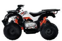 купить Квадроцикл KAYO AU150 CVT в Москве - фото 