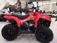 купить Квадроцикл MOTAX ATV Grizlik 200 Ultra Б/У в Москве - фото 