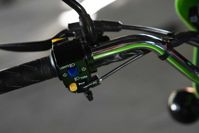 купить Мотоцикл SHARMAX Street Bike D Editions 200 (2024) в Москве - фото 