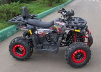 купить Квадроцикл AVANTIS Hunter 200 New Lux в Москве - фото 