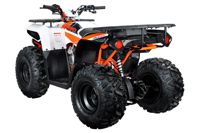 купить Квадроцикл KAYO AU125 в Москве - фото 