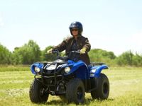 купить Квадроцикл GRIZZLY 125 в Москве - фото 