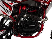 купить Мотоцикл кроссовый эндуро ПРОГАСИ Super Max 300 PRO в Москве - фото 