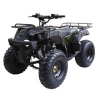 купить Квадроцикл WELS ATV Thunder 150 в Москве - фото 