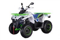 купить Квадроцикл ROCKOT Hammer 200 Premium в Москве - фото 