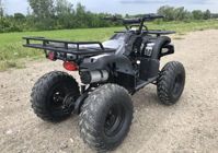 купить Квадроцикл HAMMER Hunter 300 в Москве - фото 