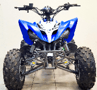 купить Квадроцикл MIKILON Rapide 250S в Москве - фото 