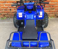 купить Квадроцикл MOWGLI Bold 8 в Москве - фото 