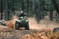 купить Квадроцикл KAWASAKI Brute Force 750 LE EPS (2024) (ПСМ) в Москве - фото 