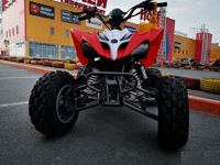 купить Квадроцикл MOTOLAND 250S Pro в Москве - фото 