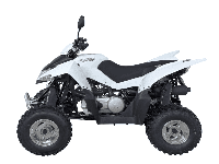 купить Квадроцикл SYM QuadRaider 300 SD в Москве - фото 