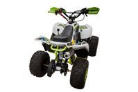 купить Квадроцикл RACER RC 110 Coyote в Москве - фото 