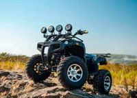 купить Квадроцикл TIGER Sport 250 (2024) в Москве - фото 