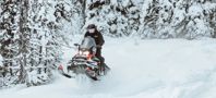 купить Снегоход BRP Ski-Doo Skandic SWT 900 ACE (2024) в Москве - фото 