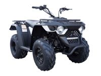 купить Квадроцикл LINHAI-YAMAHA M200 в Москве - фото 