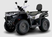 купить Квадроцикл BASHAN Kardan 300 Basic в Москве - фото 