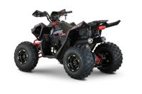 купить Квадроцикл BRZ Drake 125 Pro в Москве - фото 