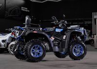 купить Квадроцикл SHARMAX 650 Force EFI с ПСМ в Москве - фото 