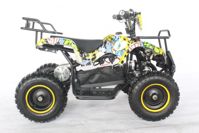 купить Электроквадроцикл GREEN CAMEL Гоби K21 в Москве - фото 