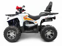 купить Квадроцикл MOTAX Grizlik 200 ULTRA BIG в Москве - фото 