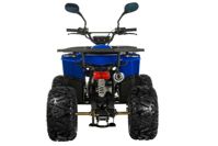 купить Квадроцикл TIGER Extra 175cc (2024) в Москве - фото 