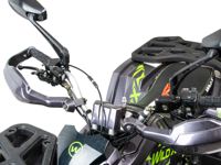 купить Квадроцикл MOTOLAND 125 Wild X Pro в Москве - фото 