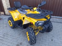 купить Квадроцикл MOTOLAND ATV 200 Wild Track в Москве - фото 