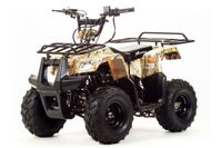 купить Квадроцикл MOTOLAND 110 Rider (2021 Г.) в Москве - фото 