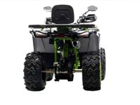 купить Квадроцикл MOTOLAND 200 Wild Track X Winch в Москве - фото 