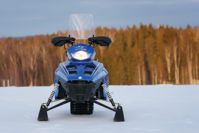 купить Снегоход SHARMAX Landcrafter Max SN-240 в Москве - фото 