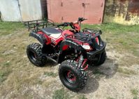 купить Квадроцикл RAPTOR Madman 200 All в Москве - фото 