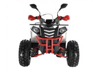 купить Квадроцикл WELS Thunder EVO LUX X 125 в Москве - фото 