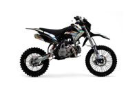 купить Мотоцикл ПРОГАСИ Smart 160 New PITBIKE в Москве - фото 