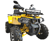 купить Квадроцикл BISON Track X PRO в Москве - фото 