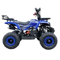 купить Квадроцикл WELS Thunder mini 2T в Москве - фото 