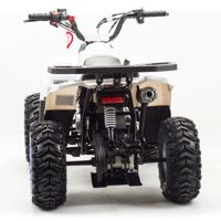 купить Квадроцикл MOTOLAND 110 Eagle (2021 Г.) в Москве - фото 