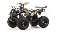 купить Квадроцикл MOTOLAND 150 Fox в Москве - фото 