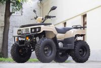 купить Квадроцикл UNIVERSAL Hammer 2 (200) в Москве - фото 