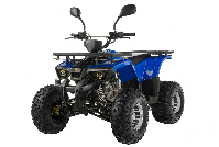 купить Квадроцикл TIGER Extra 175cc (2024) в Москве - фото 