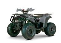 купить Квадроцикл YACOTA DRAGON 125 в Москве - фото 