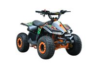 купить Квадроцикл WELS Tukah 110 в Москве - фото 