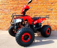 купить Квадроцикл MOWGLI Bold 8+ в Москве - фото 
