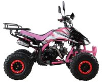 купить Квадроцикл MOTAX ATV T-Rex Super LUX 125 cc в Москве - фото 